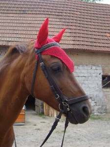 Obrazek