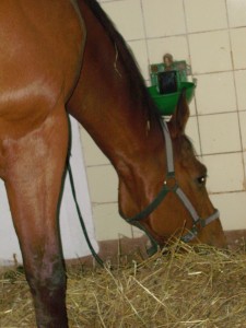Obrazek