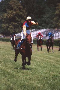 Obrazek