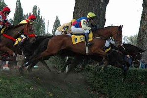 Obrazek