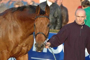 Obrazek