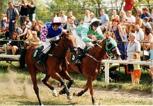 Obrazek
