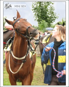 Obrazek
